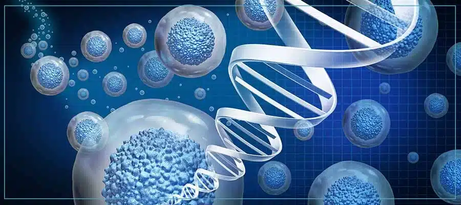 Myskinsommelier | Exosome New Services in Forest Hills NY